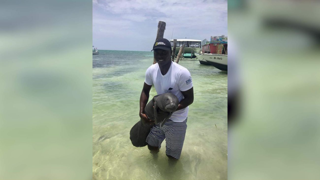 Belize’s ‘Manatee Man’ Named Global Marine Conservation Leader