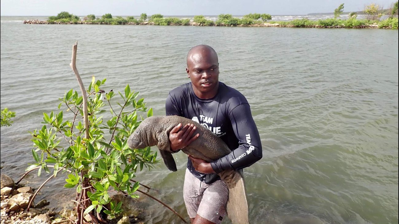 ‘manatee man,’
