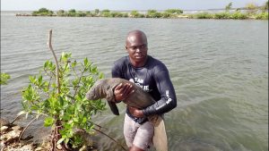 ‘manatee man,’