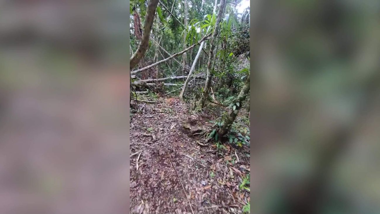 B.D.F. Tackles Illegal Activities in the Columbia River Forest Reserve