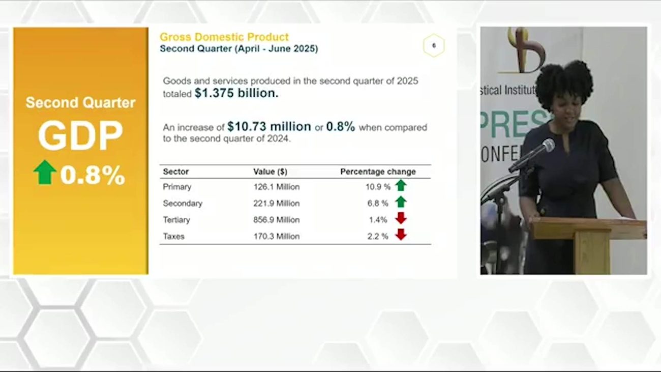 Belize’s Economy Slows to 0.8% Growth in Second Quarter