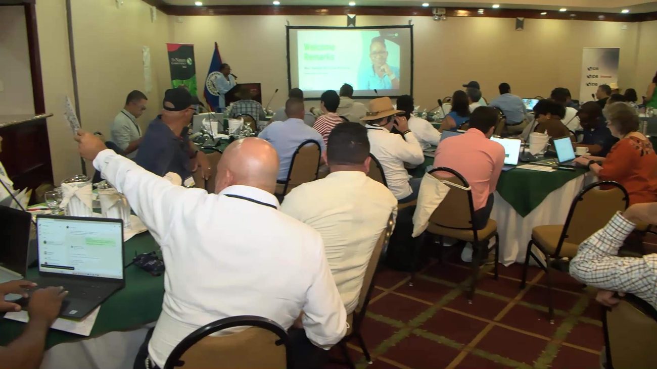 Belize and Neighbors Push for Sustainable Livestock in Selva Maya