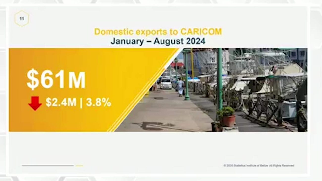 SIB Reports Steep 35% Decline in Belize-U.S. Trade
