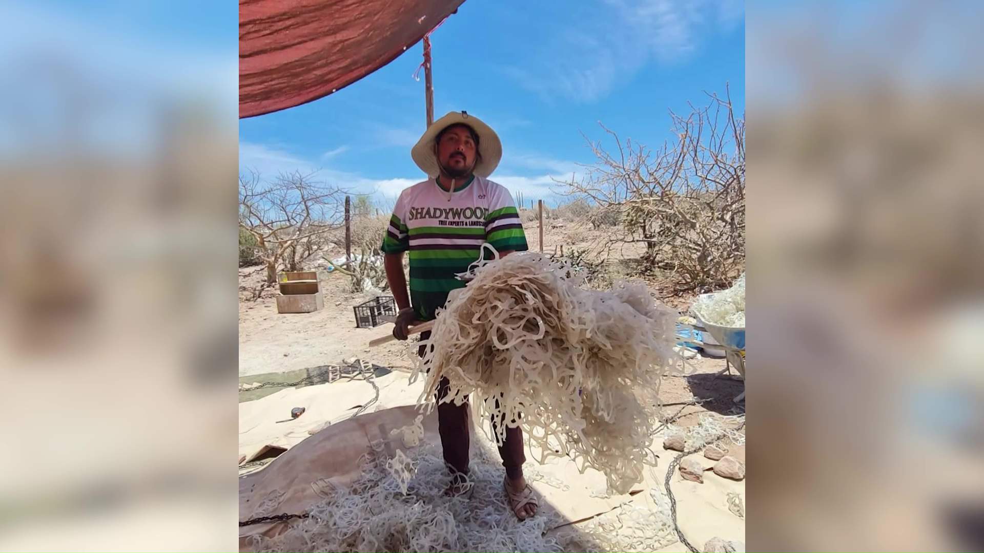 Artista mexicano impulsa bioarte en Belize
