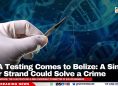 DNA Testing Comes to Belize: A Single Hair Strand Could Solve a Crime