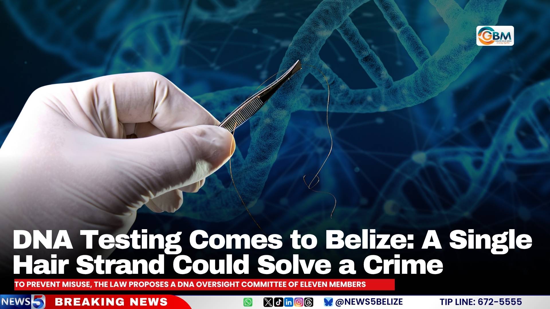 DNA Testing Comes to Belize: A Single Hair Strand Could Solve a Crime