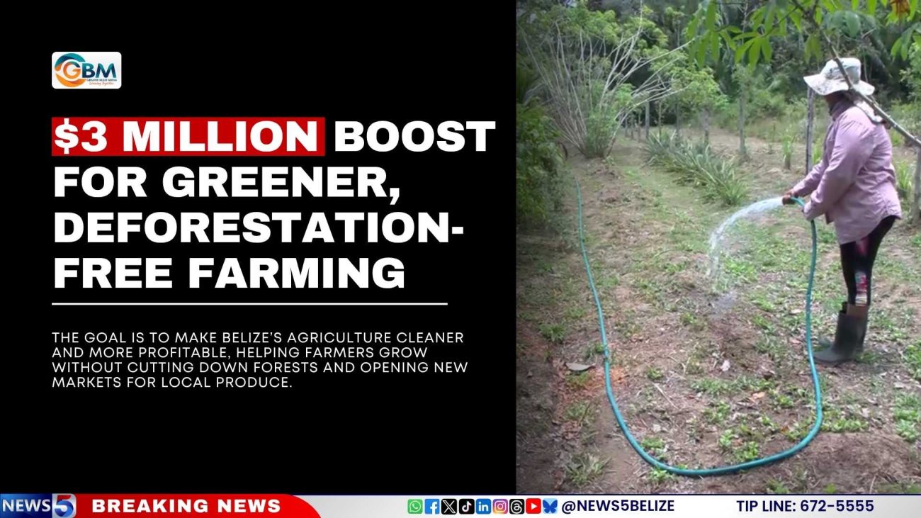 $3 Million Boost for Greener, Deforestation-Free Farming
