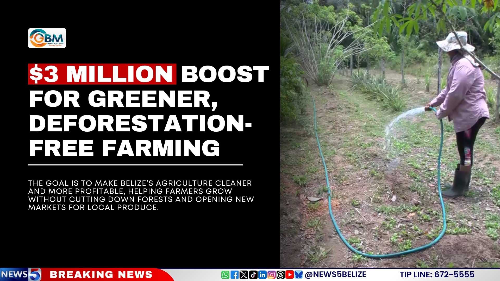 $3 Million Boost for Greener, Deforestation-Free Farming