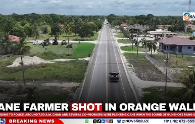 Cane Farmer Shot in Orange Walk