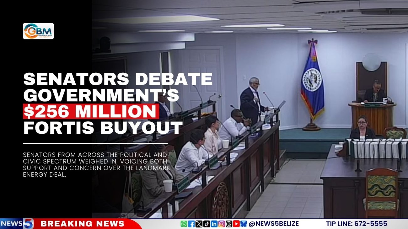 Senators Debate Government’s $256 Million Fortis Buyout