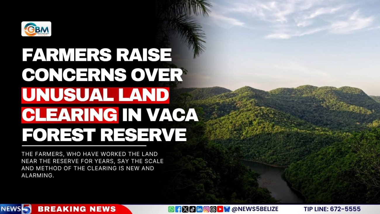 Farmers Raise Concerns Over Unusual Land Clearing in Vaca Forest Reserve