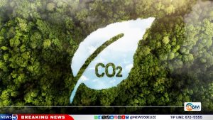 A New Currency for Conservation: Can Nature Pay Its Own Way?