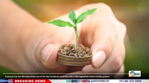 A New Currency for Conservation: Can Nature Pay Its Own Way?