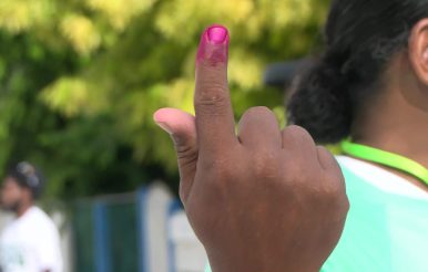 Low Turnout Marks Caye Caulker Cannabis Vote