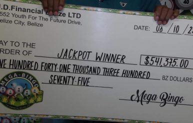 Voice of: Mega Bingo Winner