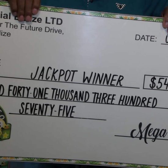 Voice of: Mega Bingo Winner
