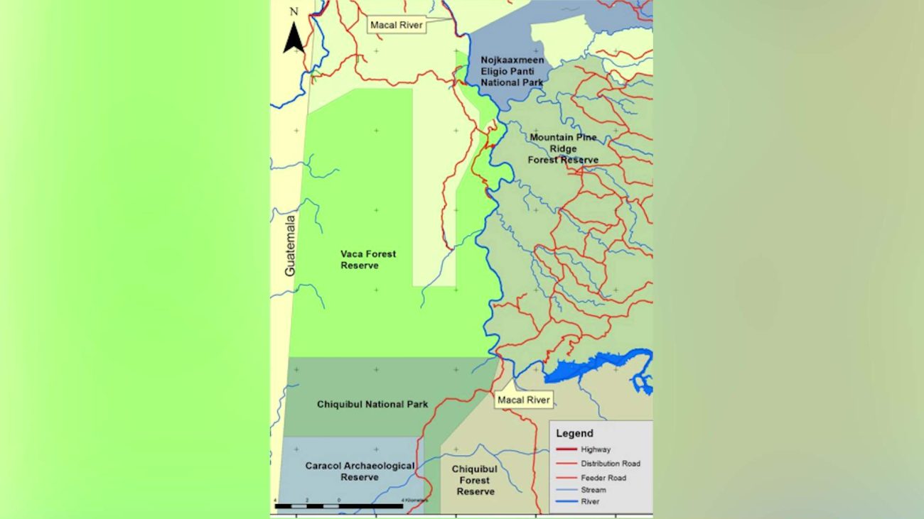 Partnership Strengthens Vaca Forest Protection  