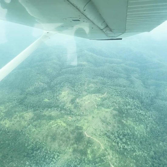 Illegal Land Clearing Suspected in Vaca Reserve