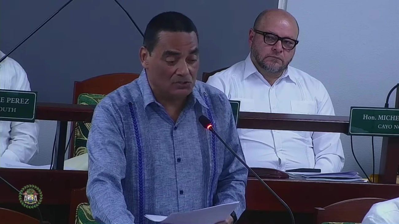 CARICOM Free Movement Sees Minimal Impact on Belize