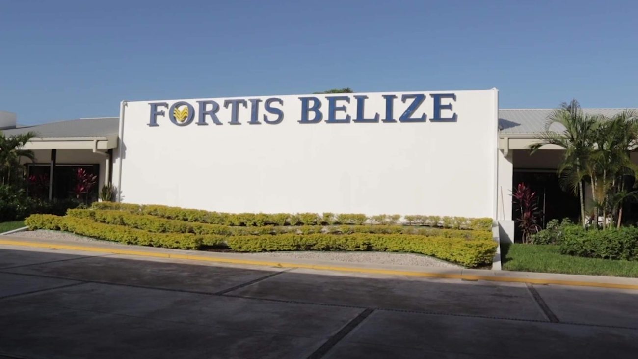 Briceño’s Fortis Strategy Sparks Heated Debate in Senate