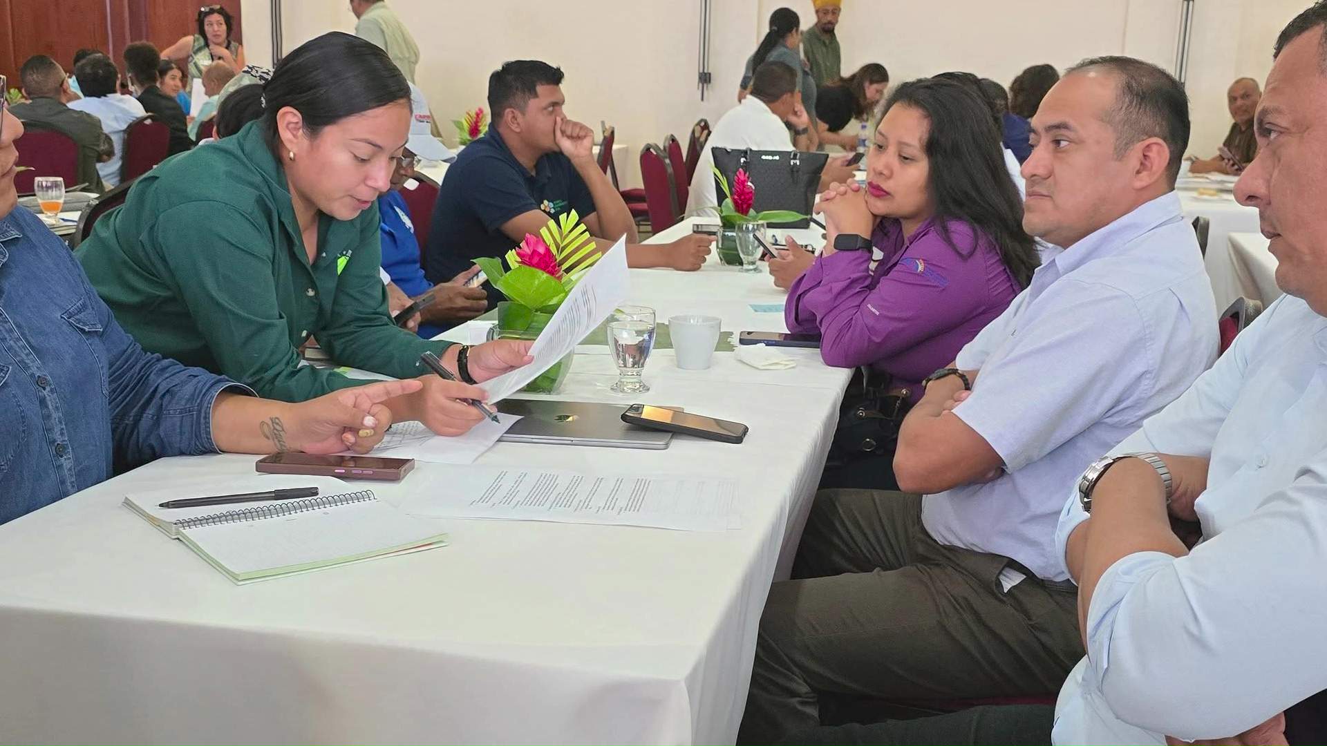 Belize Launches ‘One Million Trees’ Climate Initiative