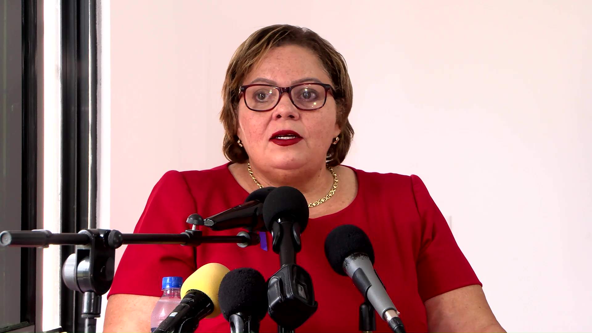 Opposition Urges Action as Domestic Violence Crisis Deepens in Belize