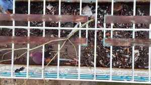 Voice of: Magistrate Mannon Dennison