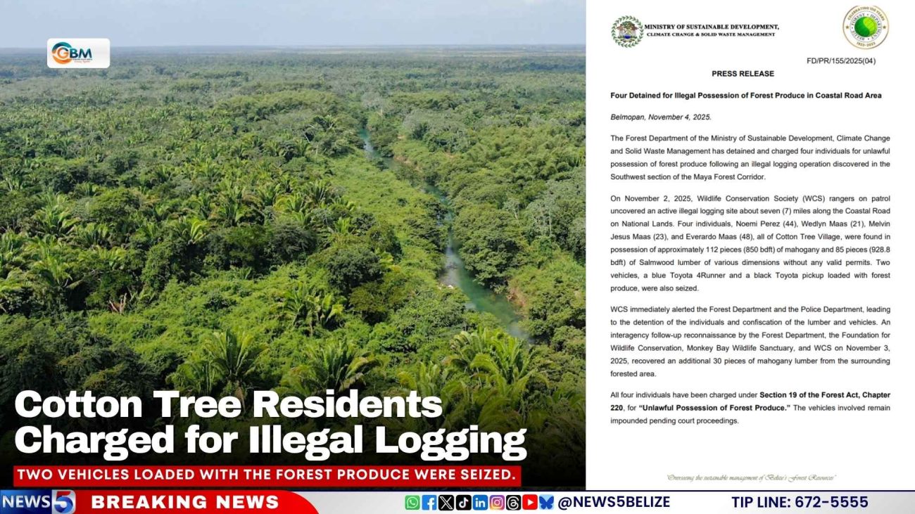 Cotton Tree Residents Charged for Illegal Logging