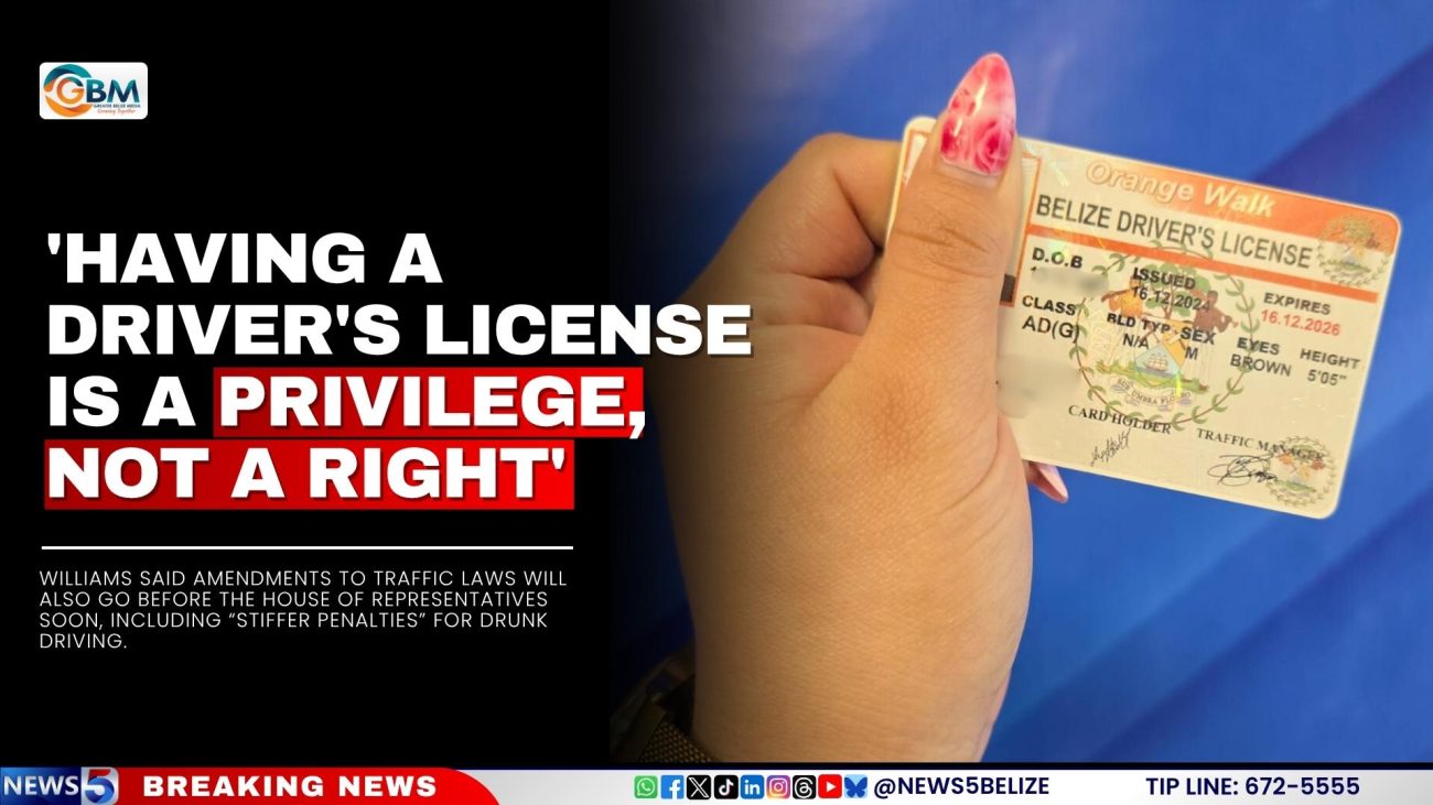 'Having a Driver's License is a Privilege, Not a Right'