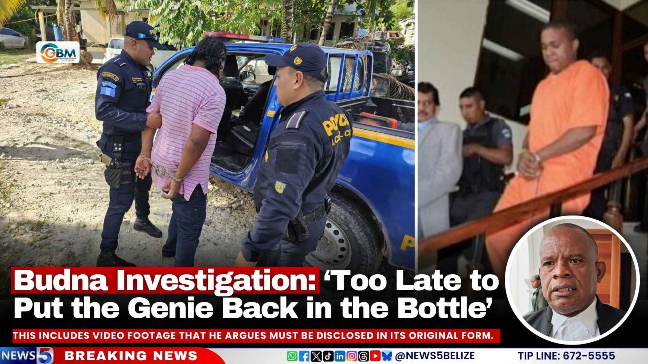 Budna Investigation: ‘Too Late to Put the Genie Back in the Bottle’