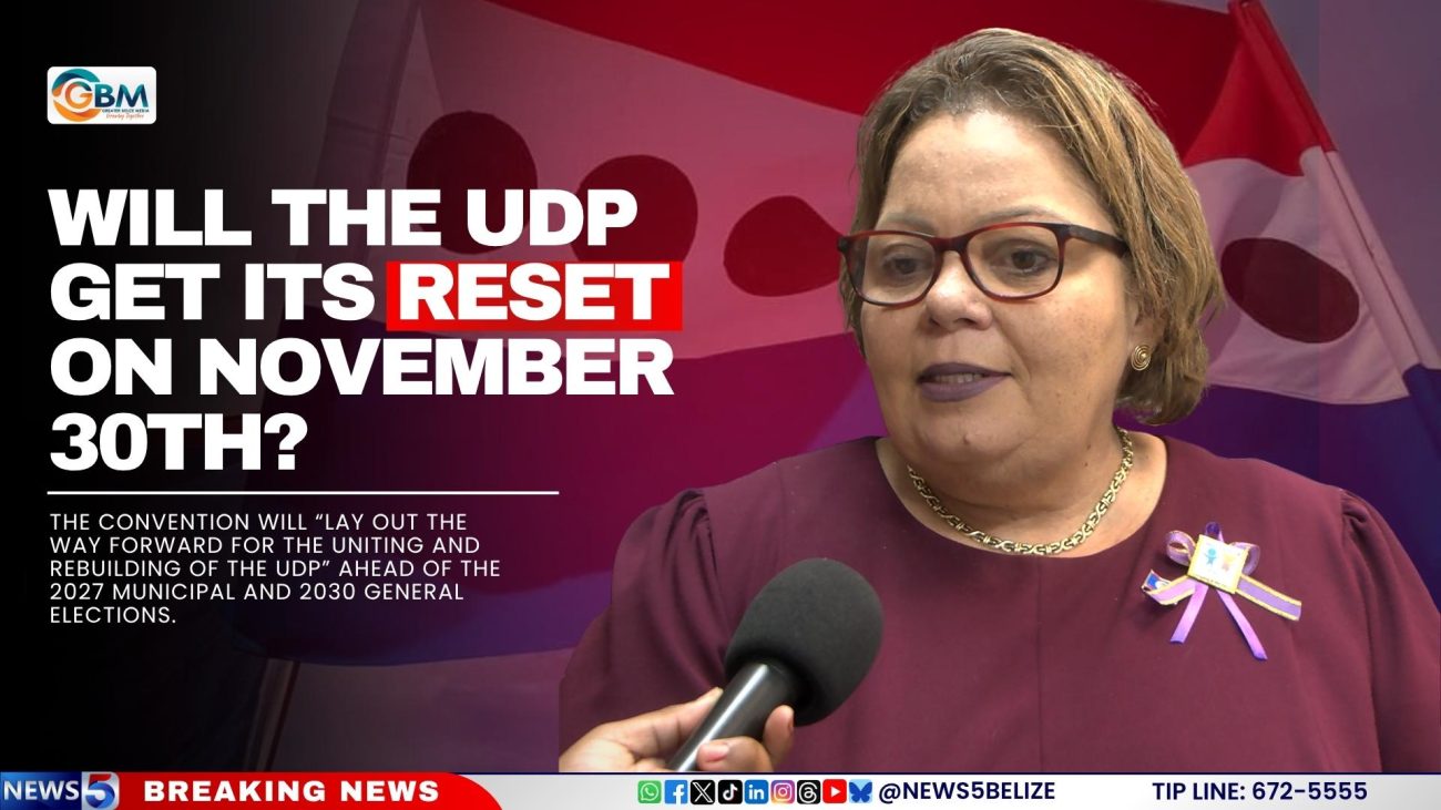 Will the UDP Get Its Reset on November 30th?