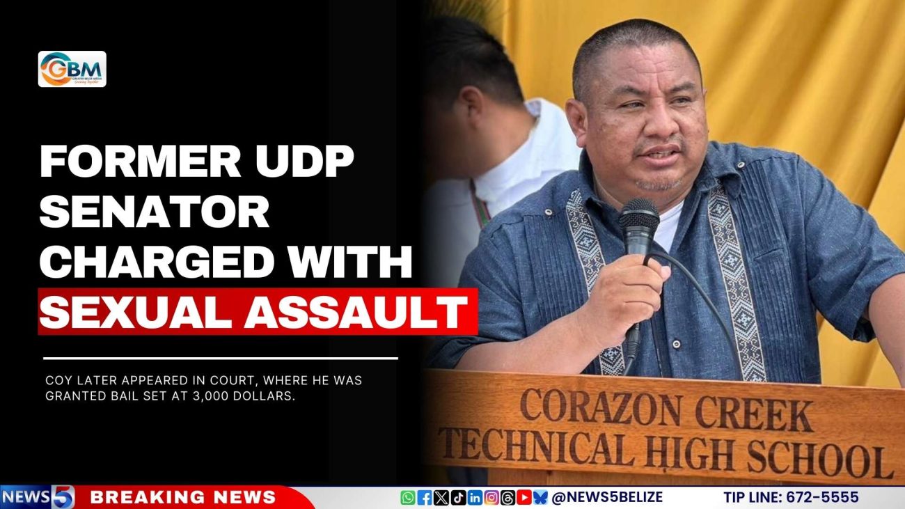 BREAKING: Former UDP Senator Charged with Sexual Assault