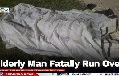 Elderly Man Fatally Run Over in OW