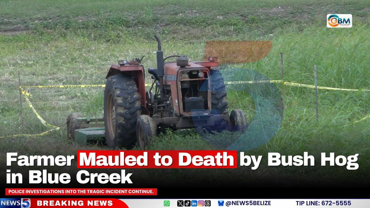 Farmer Mauled to Death by Bush Hog in Blue Creek