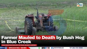 Farmer Mauled to Death by Bush Hog in Blue Creek