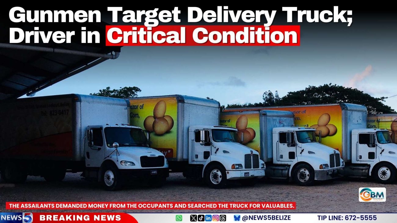 Gunmen Target Delivery Truck; Driver in Critical Condition