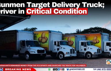 Gunmen Target Delivery Truck; Driver in Critical Condition