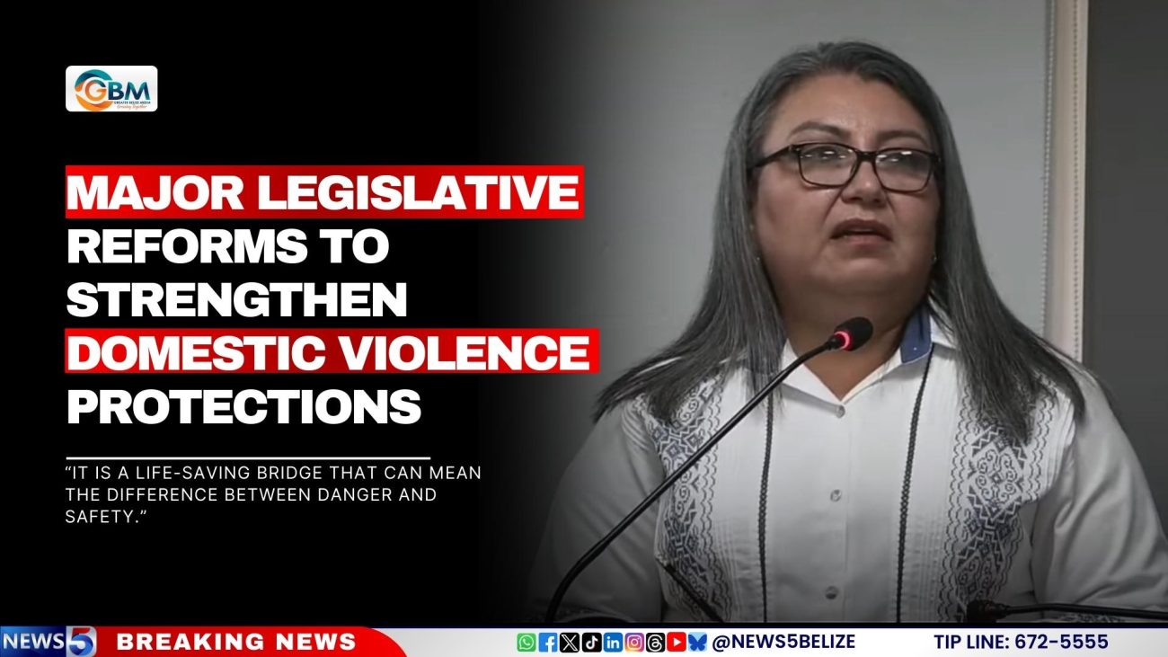 Major Legislative Reforms to Strengthen Domestic Violence Protections