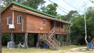 Voice of: Dr. Sade Thompson