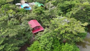 Belize Jungle Retreat Turns Legal Battleground