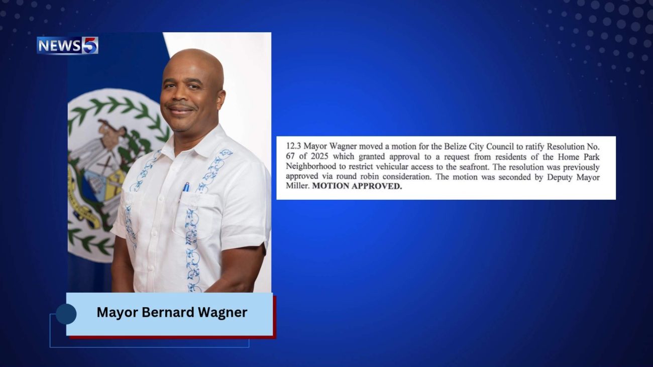 Mayor Wagner Led Motion to Block Hangar Access