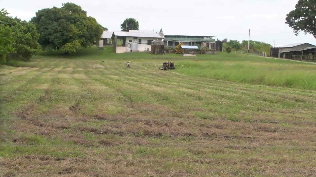 Farmer Killed in Tragic Tractor Mishap in Blue Creek
