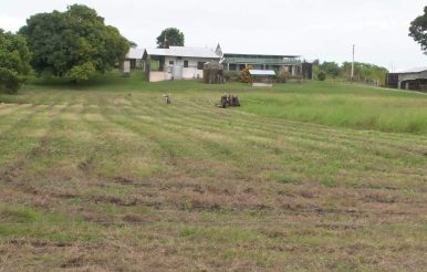 Farmer Killed in Tragic Tractor Mishap in Blue Creek