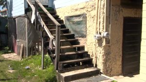 Voice of: Suzette Marsden