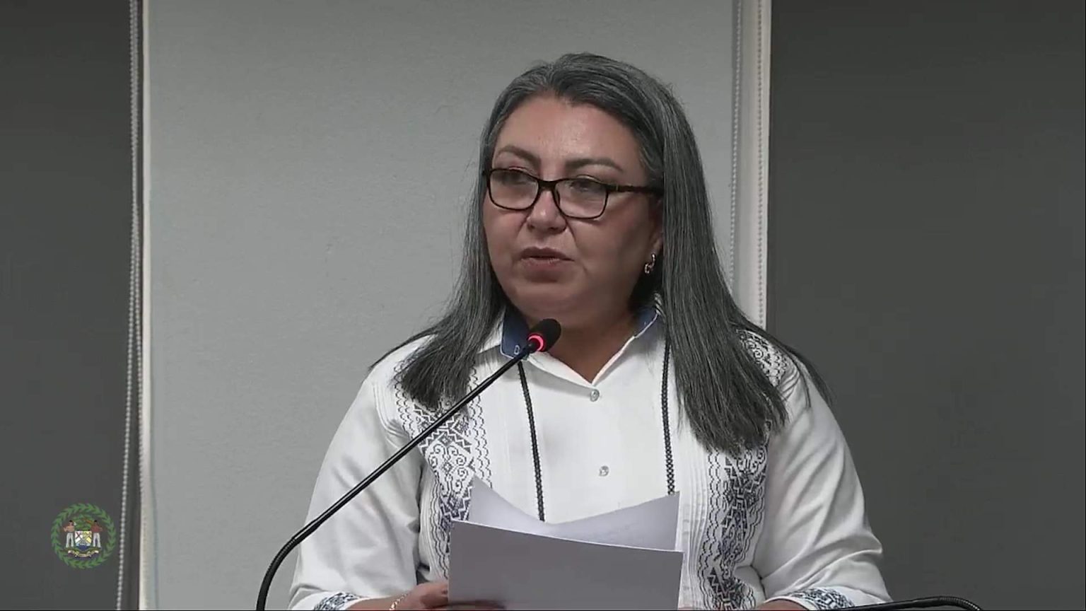 Belize Moves to Strengthen Domestic Violence Protections