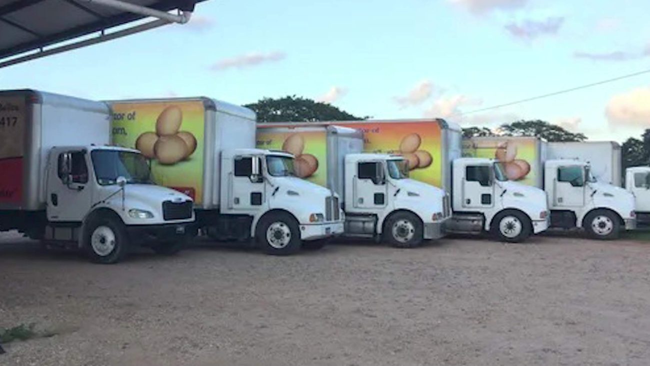 Delivery Truck Driver Shot During Brazen Truck Robbery