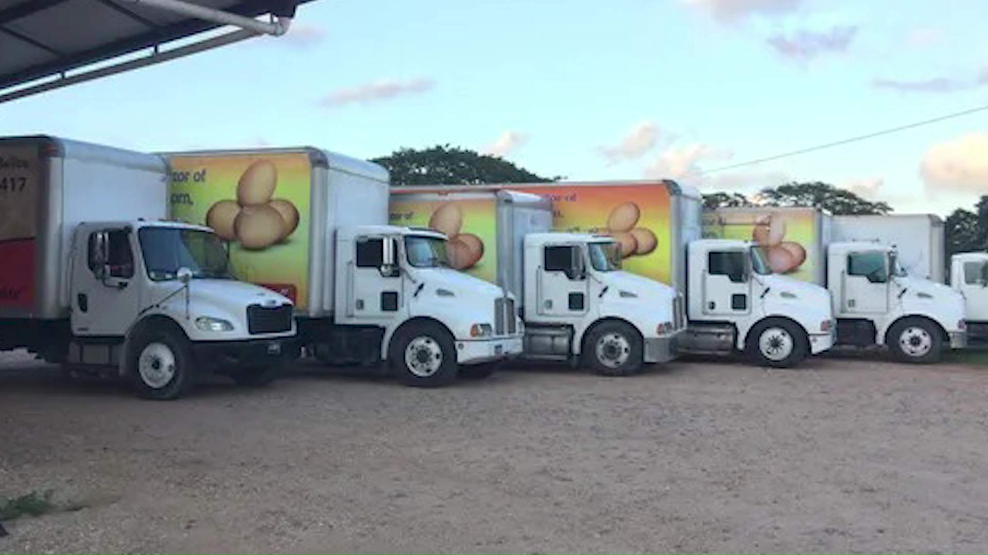 Delivery Truck Driver Shot During Brazen Truck Robbery