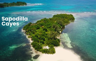 ICJ Battle Pits Belize, Guatemala, and Honduras Over Sapodillas