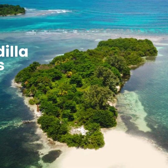 ICJ Battle Pits Belize, Guatemala, and Honduras Over Sapodillas