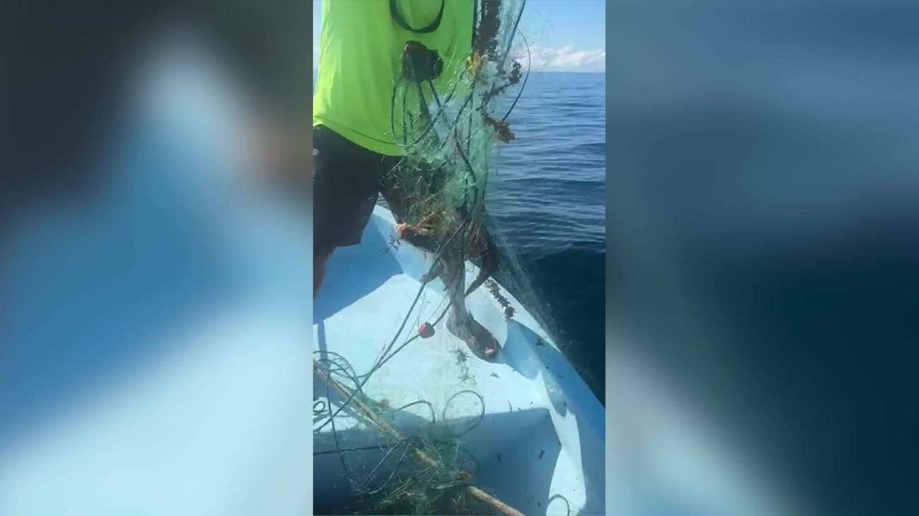 Gillnet and Longline Bust in Belize’s Southern Waters